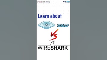 NMAP vs Wireshark: What’s the Best Tool for Network Security?