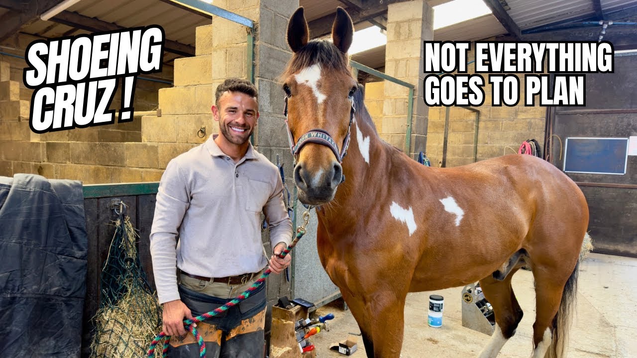 Not everything goes to plan! New shoes for Mr Cruz!