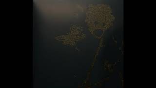 Massive Attack vs Burial - Paradise Circus (End Extended)