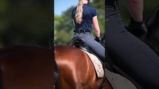 Dressage horse reel | Sanne Wiering