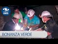 Bonanza verde: conflicto por un título minero en Boyacá llega a feliz término | Noticias Caracol