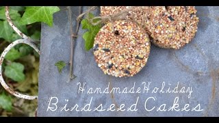 Handmade Holiday- Birdseed Cakes