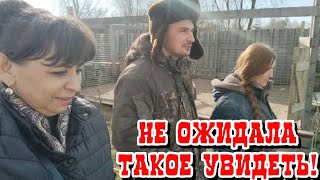 Отвезла внуков домой. Приехала к детям и попала на свадьбу. Жизнь семьи в деревне.