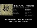 【GARGOYLE】HALLELUYAH(檄ver) guiter cover 打ち込みメンドくさくて音源に乗せて弾いてみた