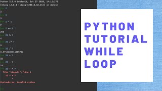Celebrity Python Tutorial Crash Course - Lesson 7 - While Net Worth