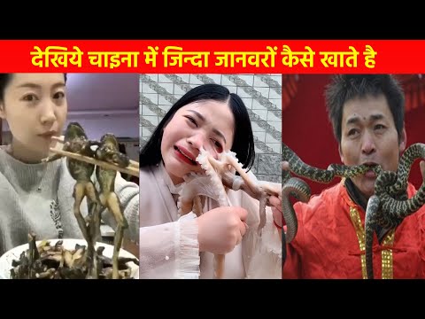 देखिये चीनी लोग क्या क्या खा जाते है और पूरी दुनिया परेशां हो जाती है | Weird Chinese Food