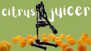 The Zulay Kitchen Citrus Juicer! On Amazon