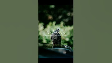 موعضةللمؤمنين#موعضةدينية#موعضةحسنة#تلاوة عطرة تريح القلوب#تلاوة مؤثرة #الجزائر 🇩🇿 المغرب 🇲🇦 تونس