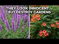 STOP Planting These! 10 Invasive Perennials That Will Ruin Your Garden Forever