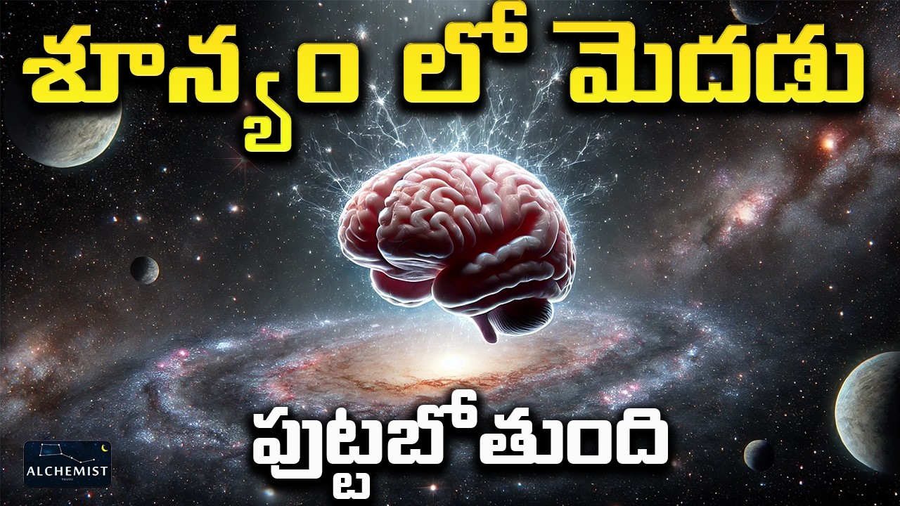 శూన్యం  లో మెదడు పుట్టుక  ఎక్కడ జరగబోతుంది ? Boltzmann brain explained in telugu