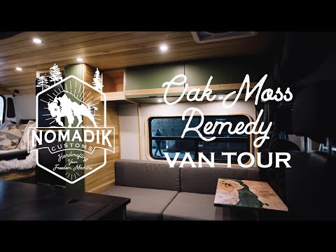 Ram ProMaster 159 EXT Van Conversion | Poplar Woodworking with Lots of Storage Options