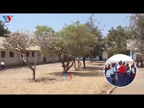 MBEYA WANAFUNZI 44 WASITISHA MASOMO BAADA YA NJIA YA KWENDA SHULE KUFUNGWA