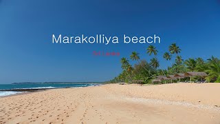 Побережье Шри Ланки. Пляжный отдых на песчаном пляже Marakolliya