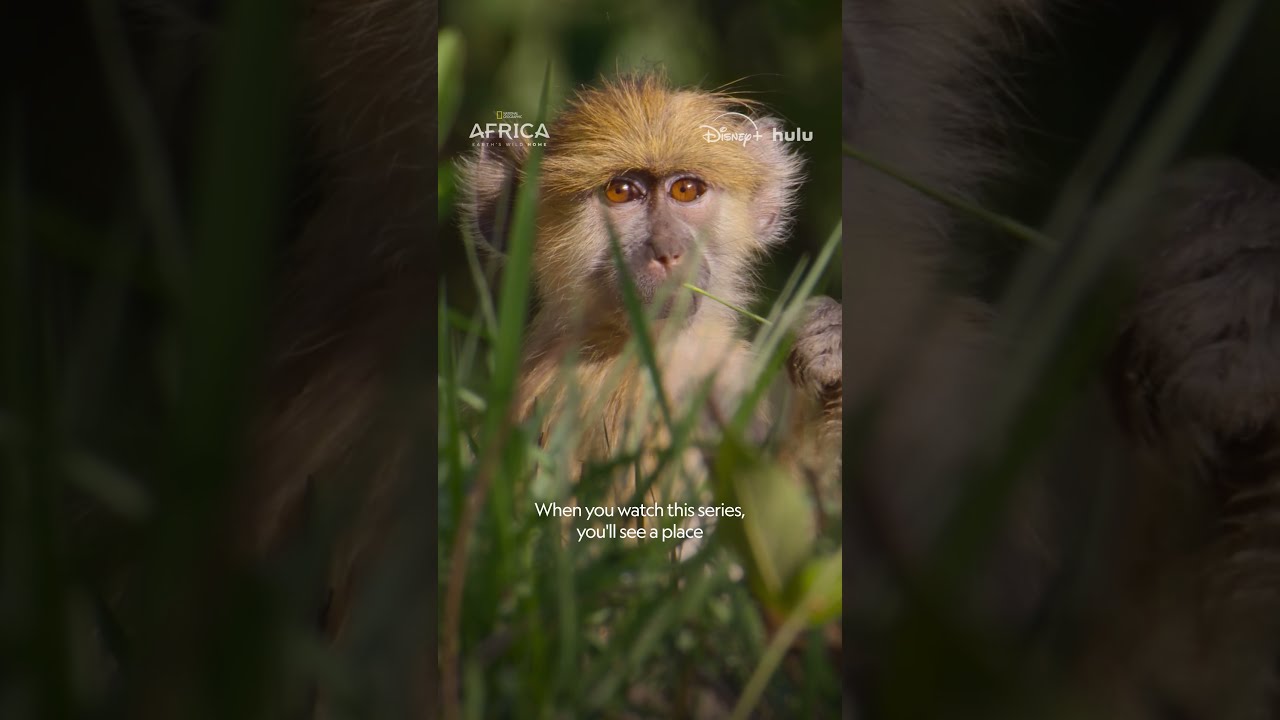 Presented by @ROLEX. Through its partnership with the National Geographic Society and as part of its Perpetual Planet Initiative, #Rolex supports expeditions exploring and protecting remarkable places around the world, a selection of which are featured in Africa Earth’s Wild Home. #PerpetualPlanet

#NationalGeographic #Rolex #Animals