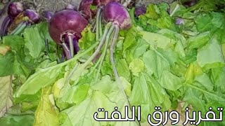 طريقة تفريز ورق اللفت ويفضل اخضر من السنة للسنة فى الفريزر . Turnip leaves