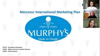 Anastasiia International Marketing Group Assignment