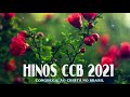 HINOS CCB 2021 🍀 CONGREGAÇÃO CRISTÃ NO BRASIL 🌼 Belos Hinos CCB parra Relaxar