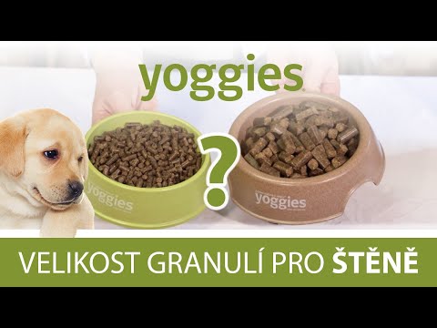 Video: Co to znamená, když váš pes okusuje věci?