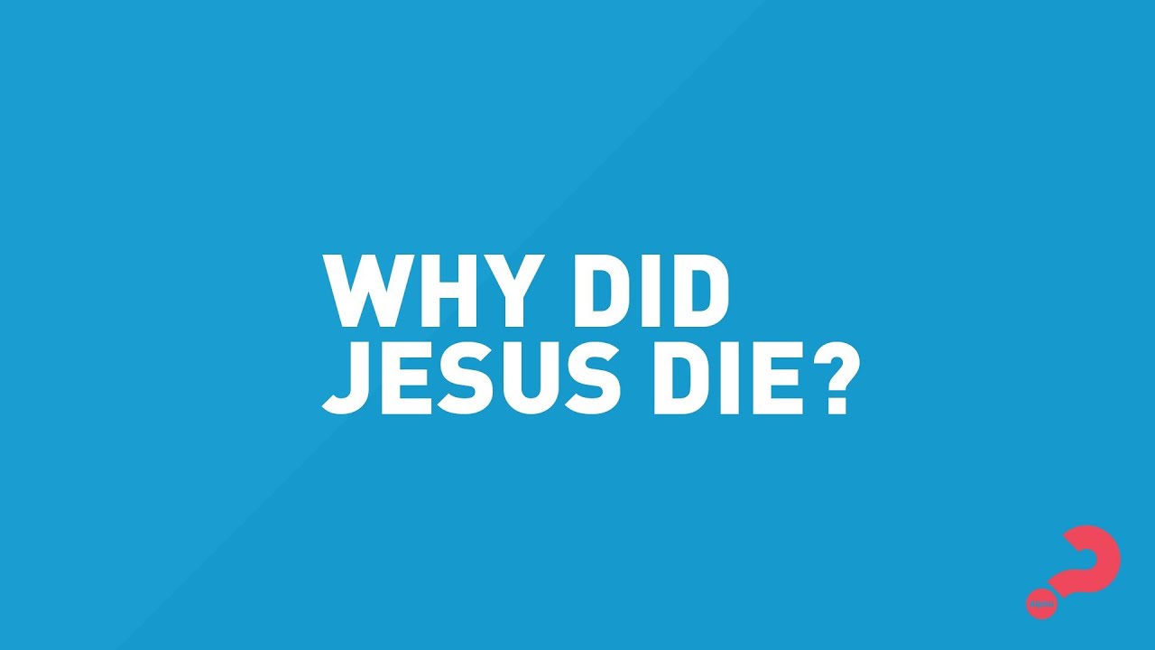 Alpha Vox Pops - Why did Jesus die? - YouTube