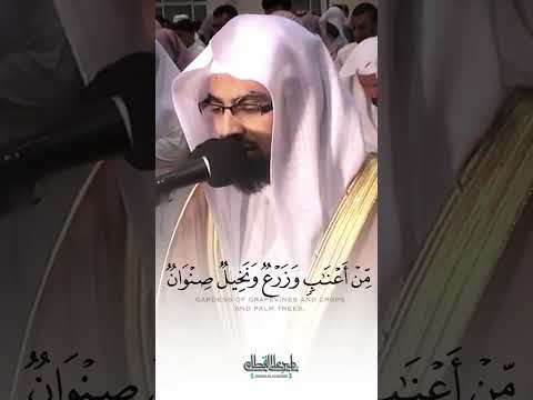 الشيخ ناصرالقطامي من سورة الرعد وفي الأرض قطع متجاورات وجنات من أعناب