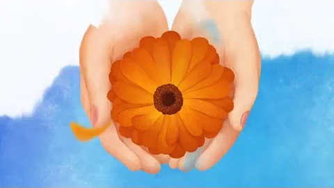 Discover the Natural Benefits of Calendula for Your Skin