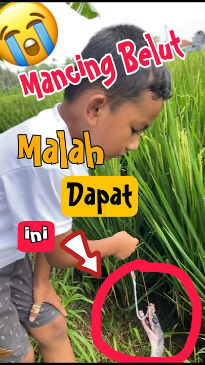 Mancing Belut dapat Ular 😭🐍 #mancing