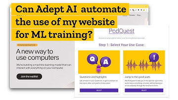 First Look at Adept AI automation