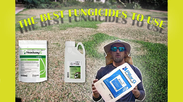 The Best Fungicide For Your Grass!! St.Augustine | Zoysia | Bermuda | Centipede | Bahia grasses!!