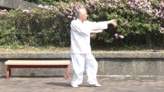 Adam Hsu 形意拳預告第二版-www.wushusunrise.com.tw