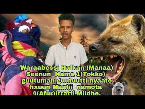 Waraabessi Halkan Manaa Seenun Nama 1Tokko Guutuman Guutuutti Nyaate Fixuun Maatii Naaftolii Tube