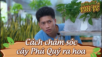 NHÀ NÔNG VUI VẺ | Phim hài Quốc Anh, Thùy Liên Hay Nhất 2025 I Cách chăm cây phú quý ra hoa