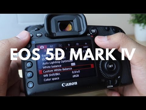 45 juta? Fitur & Menu nya kok gini, Review Canon EOS 5d Mark IV. 