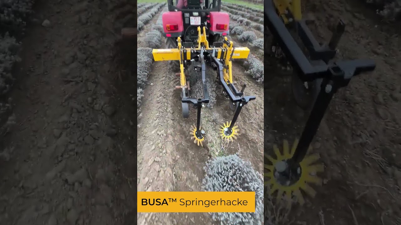 BUSA Springerhacke  