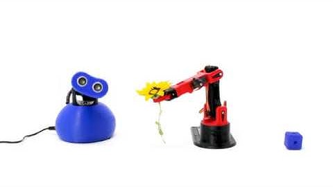 Buddy and LittleArm are Friends