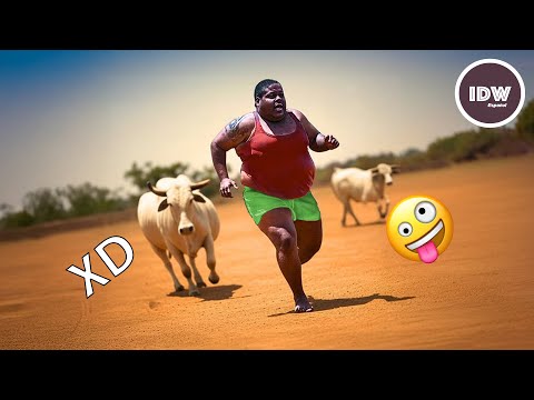 SI TE RÍES PIERDES NIVEL DIOS #66 🤣 VIDEOS DE RISA 😂 UNA HORA DE MOMENTOS😆