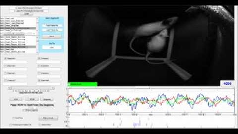 In vivo electrophysiology