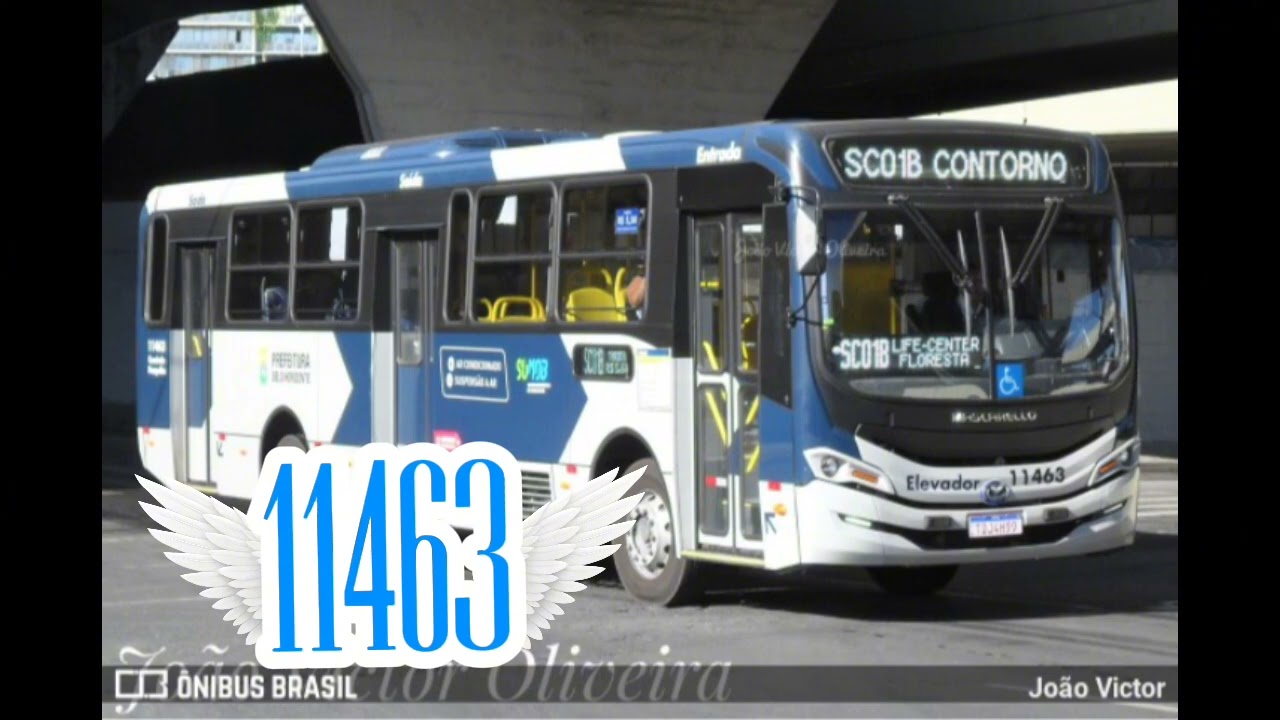 Edit dos dois ônibus da viação Sandra de bh