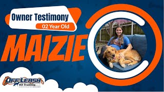 Maddie & Maizie's Journey: Personal Experience with Trainer Devon at Off Leash K9 Training 🌟🐾 by Off Leash K9 Training of Oklahoma 774 views 3 weeks ago 1 minute, 41 seconds