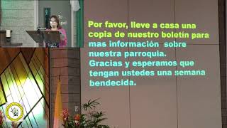 XI Domingo Ordinario