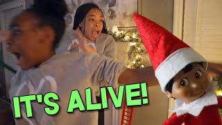 PART 2: ELF ON THE SHELF IS ALIVE!?  ( FUNNY KID'S SKIT)