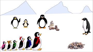 CBSE: Class 3: Science: Birds and their Nests