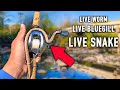 ULTIMATE Live Bait Fishing Challenge (Worm, Bluegill, Snake)