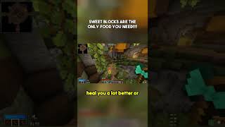 the best food in Minecraft VH - you need no other food