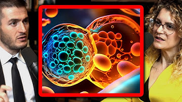 Physicist explains life | Sara Walker and Lex Fridman