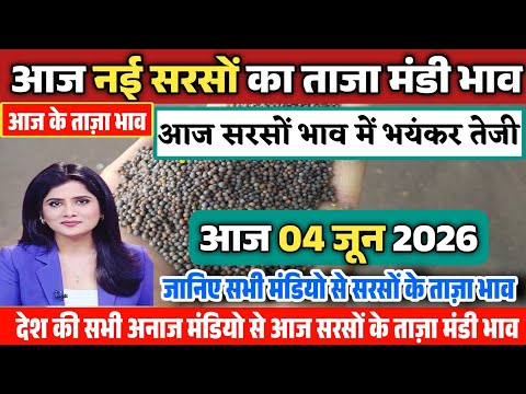 सरसों के ताजा भाव| 04 जून 2026 आज सरसों में आई भयंकर तेजी| Aaj Sarson ka bhav, Mustard price today,