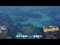 葉山芝崎でダイビング