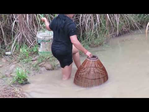 Beautiful Girl Fishing   Amazing Fishing at Battambang   How To Catch Fish By Hand Part35