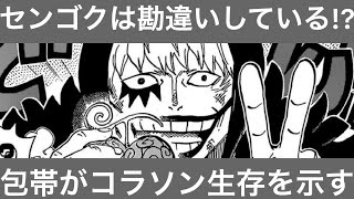 ワンピース コラソン生存 원피스 코라손 생존 Youtube