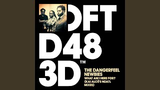 What Am I Here For? (KZR's Defected Stripped Down Mix) - The DangerFeel Newbies