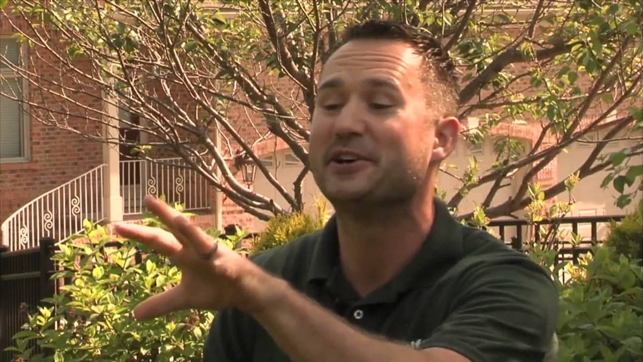 small town crime Keith Window Cleaning YODLE Testimony -